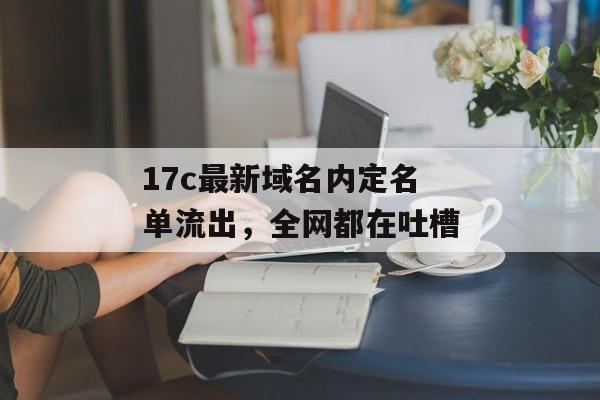 17c最新域名内定名单流出,全网都在吐槽